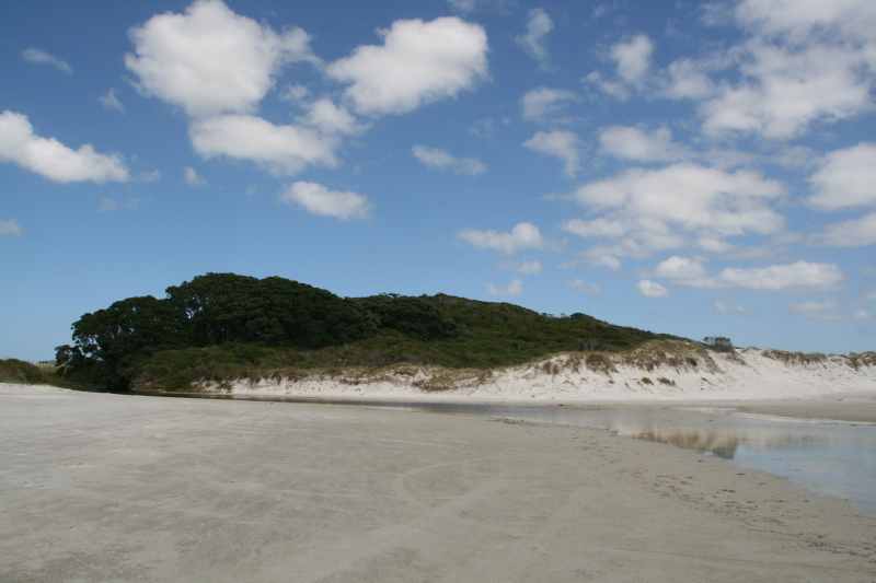 Nieuw-Zeeland 2011 - 0323